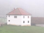 Sedam snaha izabrao svekar i svi žive u slozi