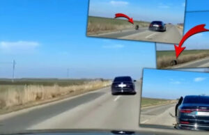 Dok je bio u pokretu: Otpao točak sa auta u kojem je bio Vučić!