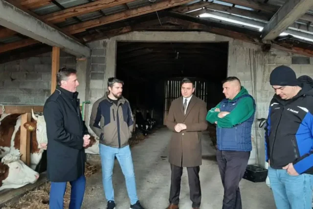 20250129153006_883863