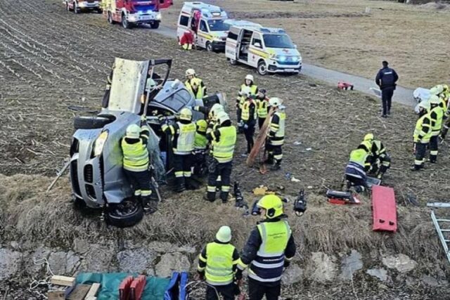 20250208214102_885983