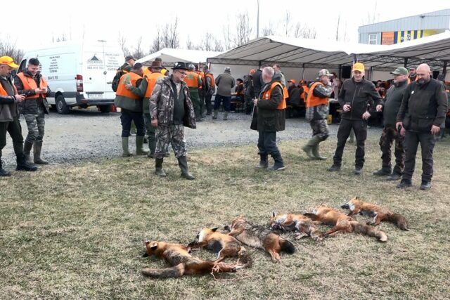 20250223163241_888979