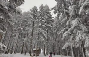 Talas hladnog vremena donio novi snijeg na krajiškoj ljepotici Kozari