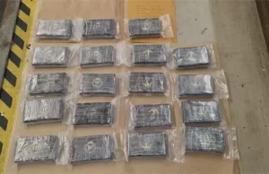 Slovenka s maloljetnom djecom prevozila drogu, krila skoro 23 kilograma kokaina