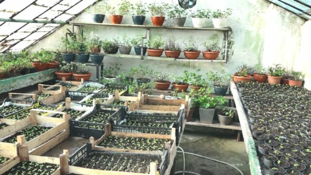 Gradsko-zelenilo-cvijece-3-1024x576