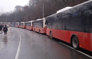 Veliki broj autobusa sa bh. tablicama ušao u Vojvodinu