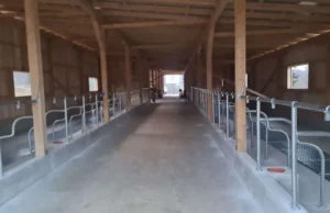 Ključ dobija modernu farmu za proizvodnju mesa i mlijeka i nova radna mjesta