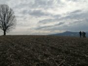 Fenomen prirode na obroncima Kozare: Na gromovitom brdu stanuju munje