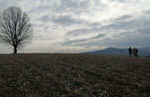 Fenomen prirode na obroncima Kozare: Na gromovitom brdu stanuju munje