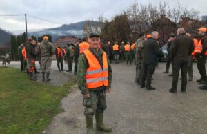 Hajka na vuka Bosanaca i Srbijanaca, pobjegao im je