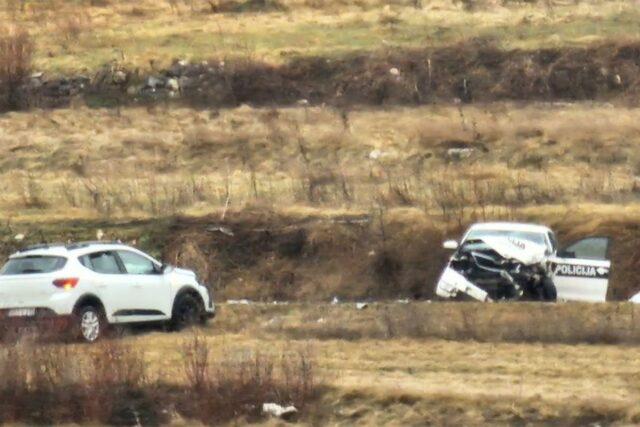 20250310215602_892082