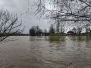 Situacija nije dobra, a evo i zašto