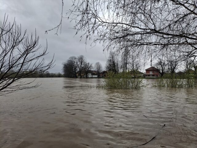 20250328_081551_1067x800