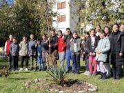 Đaci zasadili Japansku trešnju u znak sjećanja na preminulog školskog druga