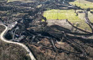 Prekinut postupak izdavanja ekološke dozvole Drvo-export