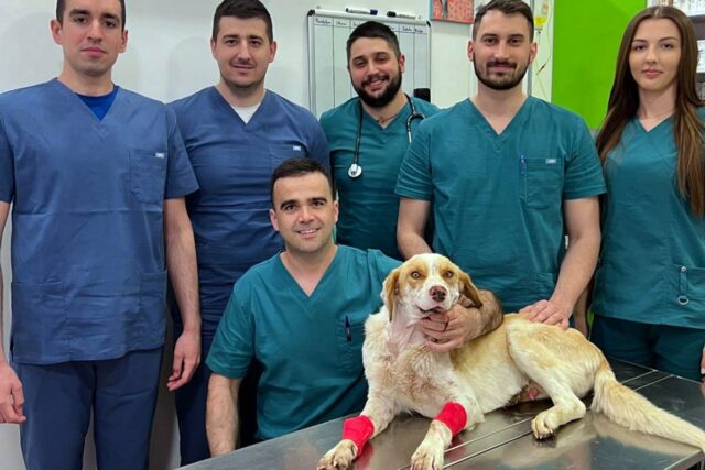 20250418092455_899846