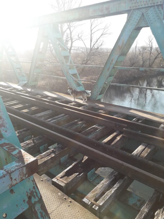 FB_IMG_1744734321726