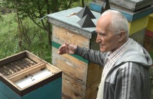 Pčelari u BiH zadovoljni prinosom, lažni med i dalje obara cijene