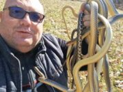 Čuveni zmijolovac dao savjete: Ako vas ujede zmija nemojte paničiti, evo koja je otrovna, a koja ne