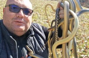 Čuveni zmijolovac dao savjete: Ako vas ujede zmija nemojte paničiti, evo koja je otrovna, a koja ne