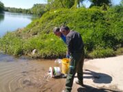 Rijeku Sanu nastanilo 2500 mladih šarana