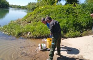 Rijeku Sanu nastanilo 2500 mladih šarana