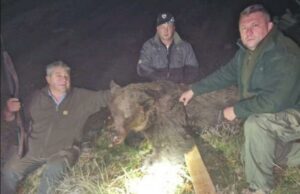 Stravične slike: U krivolovu kod Vlasenice ubijena četiri medvjeda