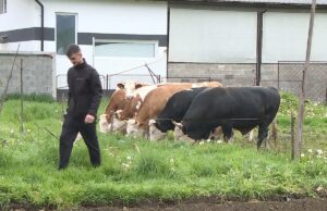 Sanski Most: Vratio se iz Njemačke i preuzeo porodičnu farmu