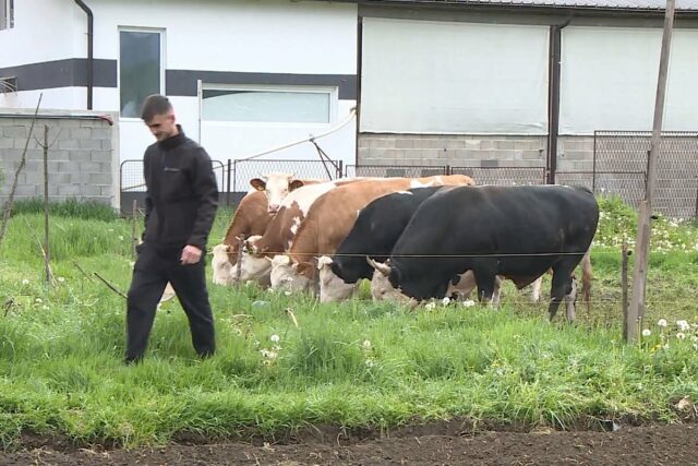 20250516150925_905052