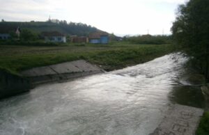 Pokušao spasiti psa pa se utopio u Blihi