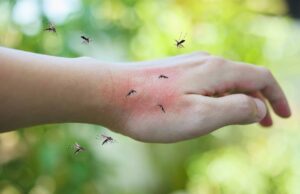 Sve više komaraca na području prijedorskih naselja, mještani nemaju mira, a strahuju i od zaraze