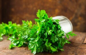 Peršun – bogatstvo nutrijenata koje može značajno doprinijeti našem zdravlju