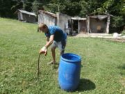 Zmije izmilile iz skrovišta, zašto su nam korisne