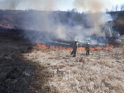 TVJ Prijedor: Izbjegavati otvoren plamen zbog sušnog perioda