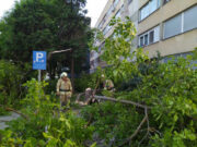 Vjetar srušio stablo u Prijedor