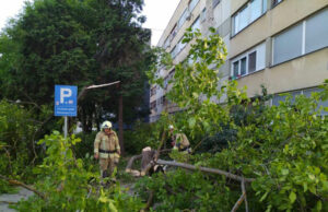 Vjetar srušio stablo u Prijedor
