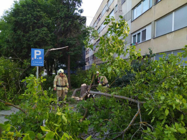 504855274_1106916544816795_2623294370767199433_n