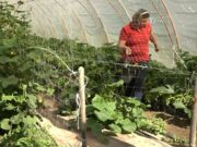 ZAHVALJUJUĆI VLASTITOJ EKONOMIJI, OSTVARENE ZNATNE UŠTEDE