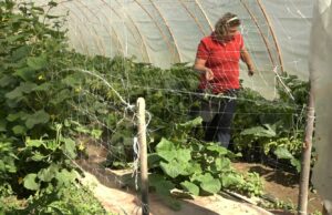 ZAHVALJUJUĆI VLASTITOJ EKONOMIJI, OSTVARENE ZNATNE UŠTEDE