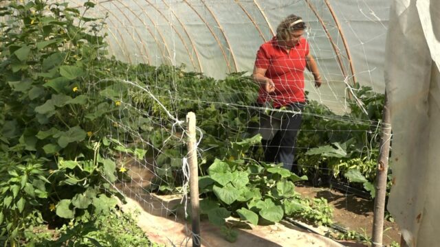 00876.MTS_snapshot_00.02.387-1536x864