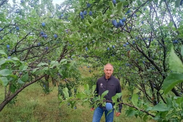 20250729163115_918836