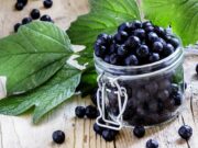 Moćna bobica za zdravlje: Aronija čuva srce i čisti jetru