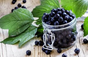 Moćna bobica za zdravlje: Aronija čuva srce i čisti jetru
