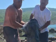 Upecali soma teškog 55 kilograma