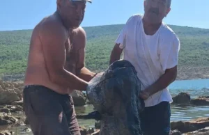 Upecali soma teškog 55 kilograma