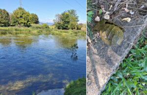 Sa prijedorske plaže uklonjena bomba