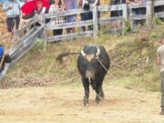 Održana 253. Grmečka korida