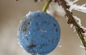 U jednom mjestu u BiH jutros bilo minus jedan