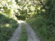 Uskoro novim putem od Sanskog Mosta do Banjaluke?