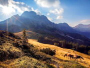 Majevica protiv litijuma: Pola miliona ljudi zabrinuto za proizvodnju brendirane rakije, sira i meda i za opstanak na planini