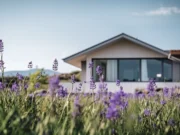 Ogromna imovina građana u BiH nije osigurana